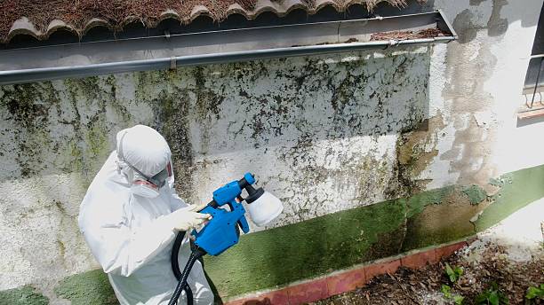 Top rated local Mold Remediation specialists in Church Hill, TN